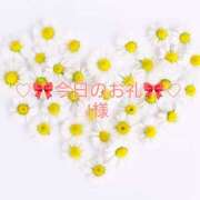 ヒメ日記 2026/01/04 17:22 投稿 ひまり プールサイド新橋店