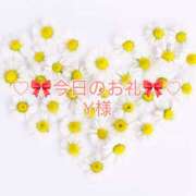 ヒメ日記 2026/04/25 06:13 投稿 ひまり プールサイド新橋店