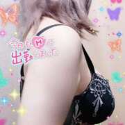 ヒメ日記 2024/12/27 15:08 投稿 あやめ ぽっちゃり巨乳素人専門横浜関内伊勢佐木町ちゃんこ