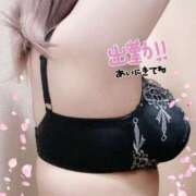 ヒメ日記 2024/12/29 07:43 投稿 あやめ ぽっちゃり巨乳素人専門横浜関内伊勢佐木町ちゃんこ