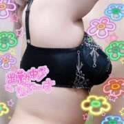 あやめ しゅきーん🩷ྀི ぽっちゃり巨乳素人専門横浜関内伊勢佐木町ちゃんこ