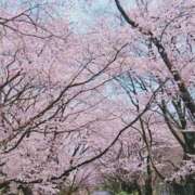 ヒメ日記 2024/04/07 09:54 投稿 須藤　ゆきの アロマキュアシス 吉祥寺