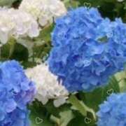 ヒメ日記 2025/06/13 12:48 投稿 須藤　ゆきの アロマキュアシス 吉祥寺