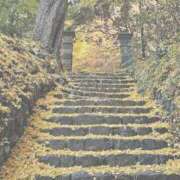 ヒメ日記 2025/11/17 12:51 投稿 須藤　ゆきの アロマキュアシス 吉祥寺