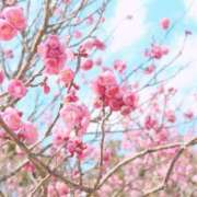 ヒメ日記 2026/02/04 11:51 投稿 須藤　ゆきの アロマキュアシス 吉祥寺