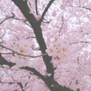 ヒメ日記 2026/03/02 13:07 投稿 須藤　ゆきの アロマキュアシス 吉祥寺