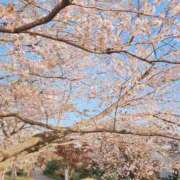 須藤　ゆきの 🍑 アロマキュアシス 吉祥寺