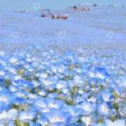 ヒメ日記 2025/02/13 11:43 投稿 あきら ココリラ吉祥寺・調布店