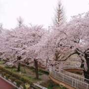 ヒメ日記 2025/04/06 13:14 投稿 あきら ココリラ吉祥寺・調布店