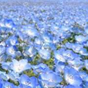 ヒメ日記 2025/04/25 11:43 投稿 あきら ココリラ吉祥寺・調布店