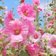 ヒメ日記 2025/07/22 11:38 投稿 あきら ココリラ吉祥寺・調布店