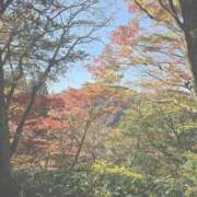 ヒメ日記 2025/11/18 12:53 投稿 あきら ココリラ吉祥寺・調布店