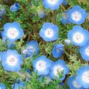 ヒメ日記 2026/02/11 11:51 投稿 あきら ココリラ吉祥寺・調布店