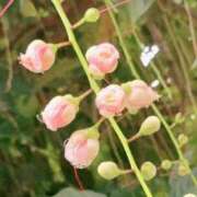 ヒメ日記 2026/02/19 14:12 投稿 あきら ココリラ吉祥寺・調布店