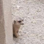 ヒメ日記 2025/08/28 13:00 投稿 須藤　ゆきの アロマキュアシス