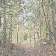 ヒメ日記 2025/10/17 15:39 投稿 須藤　ゆきの アロマキュアシス