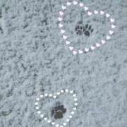 ヒメ日記 2025/12/22 13:09 投稿 須藤　ゆきの アロマキュアシス