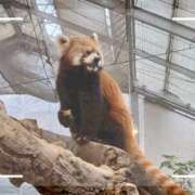 須藤　ゆきの ✈️ アロマキュアシス