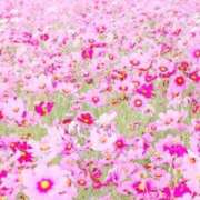 ヒメ日記 2024/12/09 13:15 投稿 あきら 立川洗体風俗エステ ココリラ