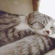 ヒメ日記 2024/12/12 13:17 投稿 あきら 立川洗体風俗エステ ココリラ