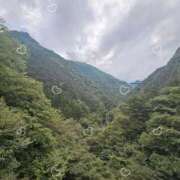 ヒメ日記 2025/07/11 10:51 投稿 あきら 立川洗体風俗エステ ココリラ