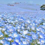 ヒメ日記 2025/08/04 12:58 投稿 あきら 立川洗体風俗エステ ココリラ