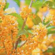 ヒメ日記 2025/09/04 13:24 投稿 あきら 立川洗体風俗エステ ココリラ