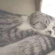 あきら ☃️ 立川洗体風俗エステ ココリラ