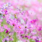 ヒメ日記 2026/02/06 12:31 投稿 あきら 立川洗体風俗エステ ココリラ