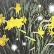 ヒメ日記 2026/03/24 14:01 投稿 あきら 立川洗体風俗エステ ココリラ