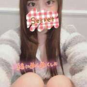 ヒメ日記 2024/12/14 08:15 投稿 ゆめ 素人系イメージSOAP 彼女感 宇都宮本館