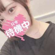 ヒメ日記 2025/02/11 08:45 投稿 ゆめ 素人系イメージSOAP 彼女感 宇都宮本館