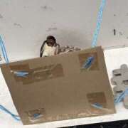 ヒメ日記 2025/07/01 03:29 投稿 柊 みなみ 快楽園 大阪梅田