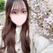 ヒメ日記 2025/04/15 18:25 投稿 つばさ PINK PLANET