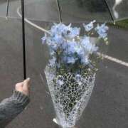 ヒメ日記 2025/06/27 14:15 投稿 つばさ PINK PLANET