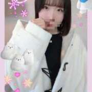 ヒメ日記 2024/12/09 13:45 投稿 きずな 横浜コスプレデビュー（シンデレラグループ）