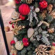 ヒメ日記 2024/12/11 18:43 投稿 きずな 横浜コスプレデビュー（シンデレラグループ）