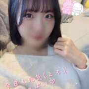 ヒメ日記 2025/01/30 10:52 投稿 きずな 横浜コスプレデビュー（シンデレラグループ）