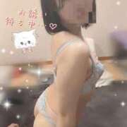 ヒメ日記 2025/02/14 11:00 投稿 きずな 横浜コスプレデビュー（シンデレラグループ）