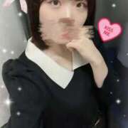 ヒメ日記 2025/04/01 19:12 投稿 きずな 横浜コスプレデビュー（シンデレラグループ）