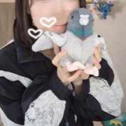 ヒメ日記 2025/04/30 10:44 投稿 きずな 横浜コスプレデビュー（シンデレラグループ）