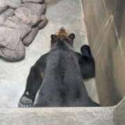 ヒメ日記 2025/05/04 20:25 投稿 きずな 横浜コスプレデビュー（シンデレラグループ）