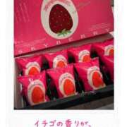 ヒメ日記 2025/07/26 00:00 投稿 きずな 横浜コスプレデビュー（シンデレラグループ）