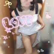 ヒメ日記 2025/08/26 13:03 投稿 きずな 横浜コスプレデビュー（シンデレラグループ）