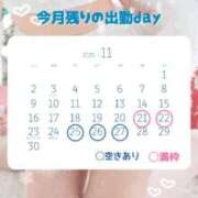 ヒメ日記 2025/11/19 10:09 投稿 きずな 横浜コスプレデビュー（シンデレラグループ）