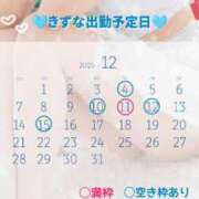 ヒメ日記 2025/11/22 09:53 投稿 きずな 横浜コスプレデビュー（シンデレラグループ）