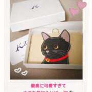 きずな ありがとん☆ 横浜コスプレデビュー（シンデレラグループ）