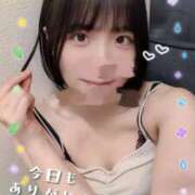ヒメ日記 2026/06/09 19:15 投稿 きずな 横浜コスプレデビュー（シンデレラグループ）