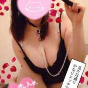 ヒメ日記 2025/04/15 18:27 投稿 古式みゆき Mの世界