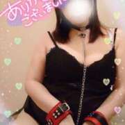 ヒメ日記 2025/04/16 12:04 投稿 古式みゆき Mの世界